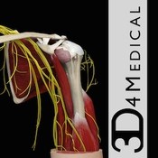 Shoulder Pro III with Animations