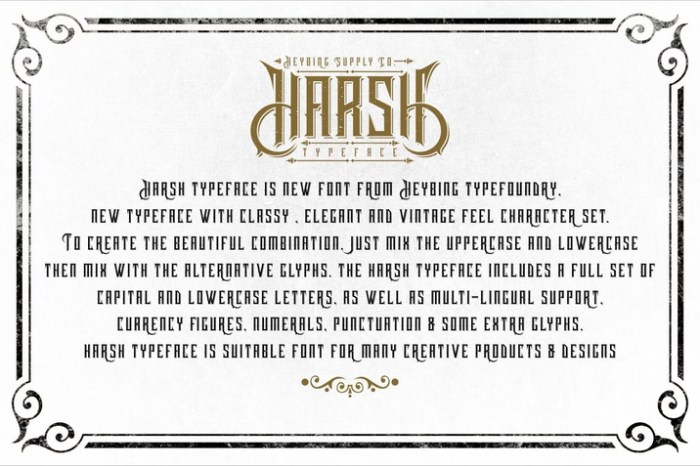 Creativemarket_Harsh_Typeface_Bonus_Intro_Sale_280584_cap03