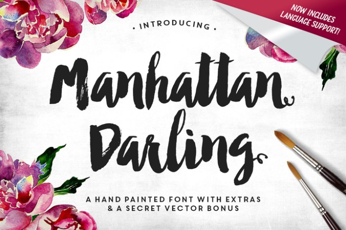 Creativemarket_The_Brush_Font_Bundle_50percent_OFF_264357_cap02