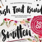 Creativemarket The Brush Script Bundle 50percent OFF 264357 icon