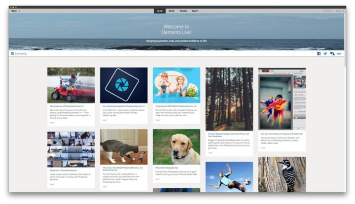 adobe_photoshop_elements_150