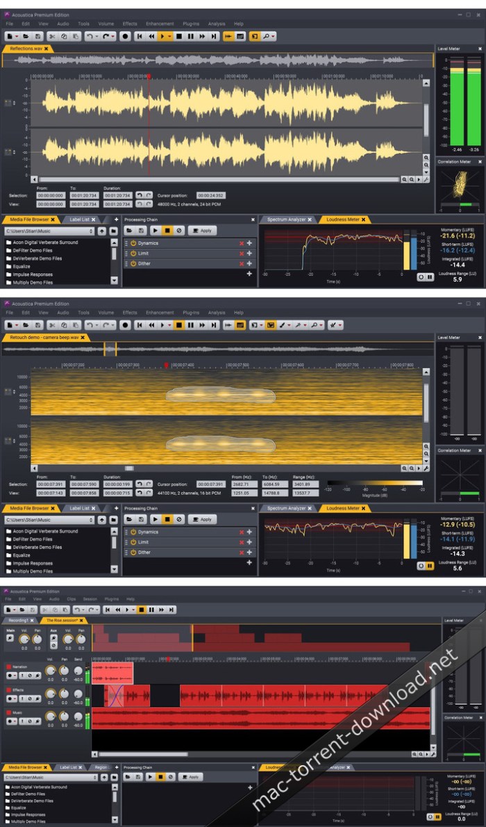 acon_digital_acoustica_premium_edition_702