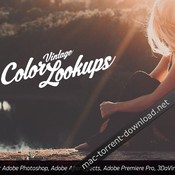 Retro vintage color lookup bundle icon