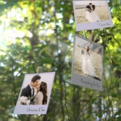 Videohive photo memories on trees 19338045 icon