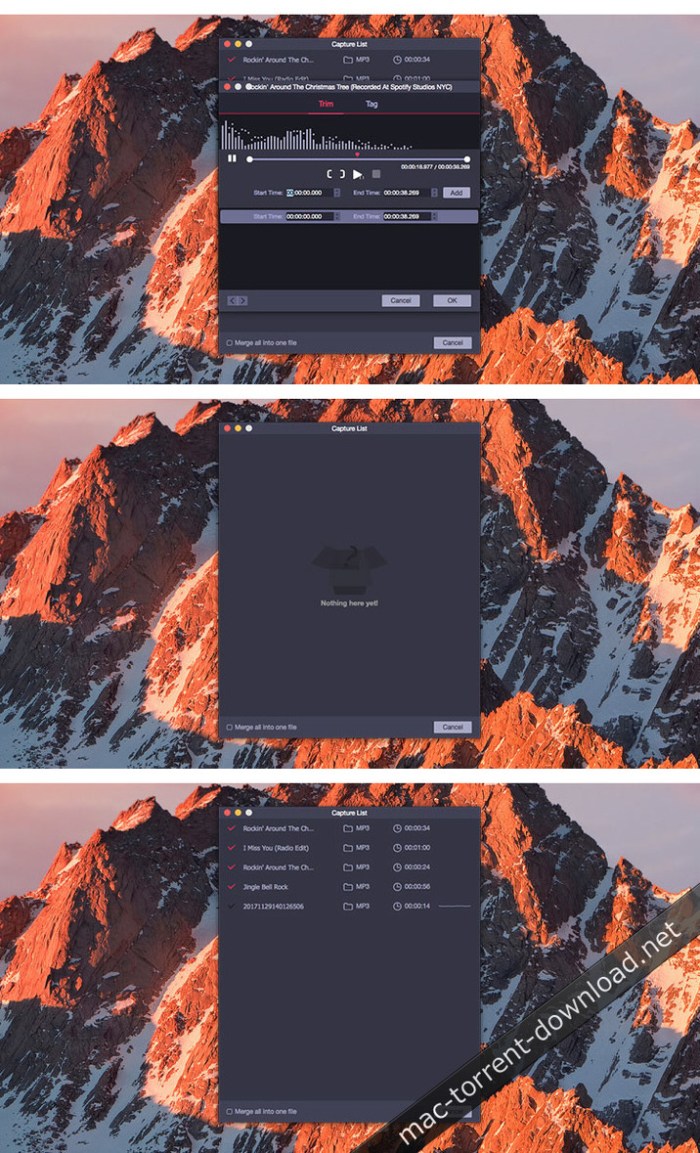 tuneskit_audio_capture_100