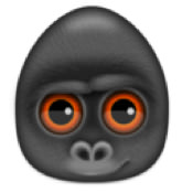 Debookee