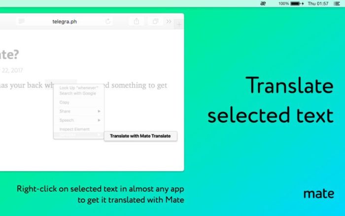 3_Mate_Translate_–_translator.jpg