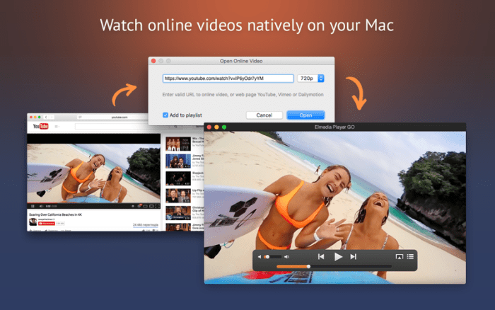2_Elmedia_Player_GO.jpg