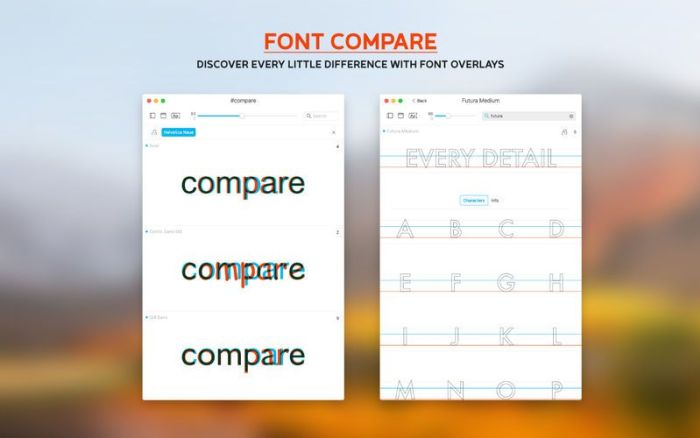 3_Typeface_2.jpg
