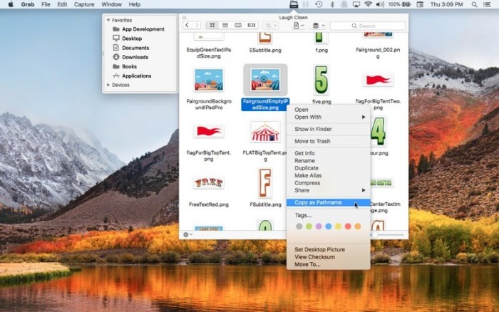 5_File_Cabinet_Pro.jpg
