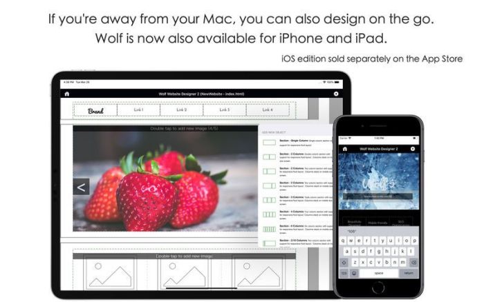 2_Wolf_Website_Designer_2.jpg