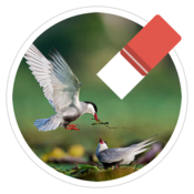 Magic photo eraser erase elements from photos icon