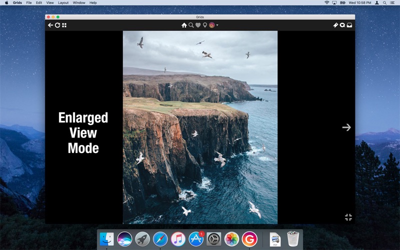 4_Grids_for_Instagram.jpg