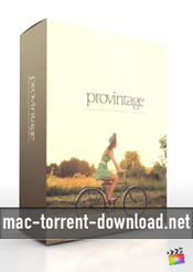 Pixel film studios - provintage for fcpx icon
