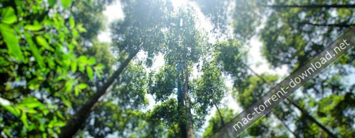 ndvlodi1og.jpg Pixel Film Studios - ProBlur - Over 40 Blur Methods for FCPX