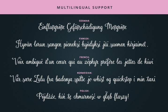 Creativemarket_Rosalinda_Script_285891_cap05.jpg Creativemarket_Rosalinda_Script_285891_cap05