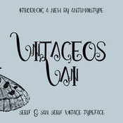 Vintageos vain display fonts 415276 icon