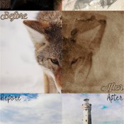 creative_vintage_watercolor_actions_bundle_11444046