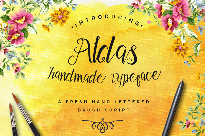 Creativemarket_Aldas_Typeface_and_Illustration_Pack_196742_cap01