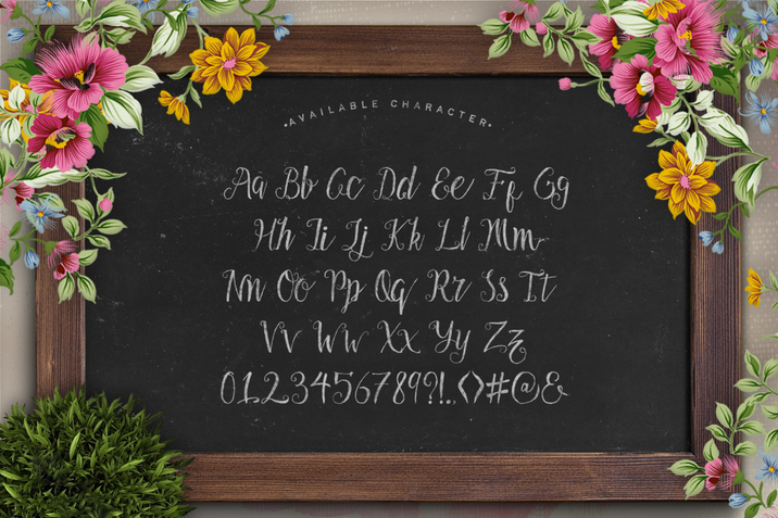 Creativemarket_Aldas_Typeface_and_Illustration_Pack_196742_cap02