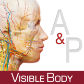 Anatomy physiology an introduction to body structures and function icon