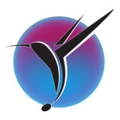 Colibri 19 icon