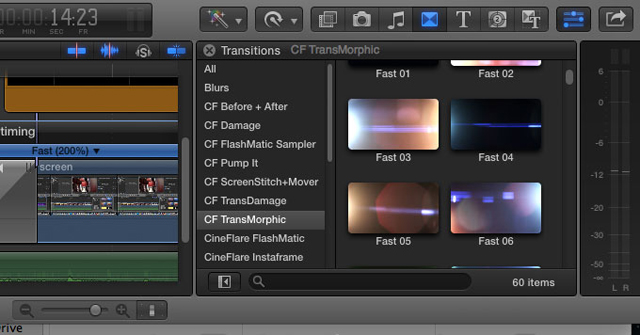 TRANSMORPIC FEATURES