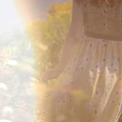 Crumplepop halflight light leak for final cut pro x icon