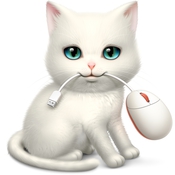 Shortcat_icon.jpg Shortcat icon