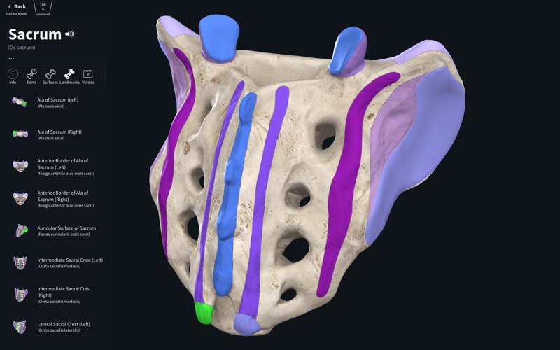 10_Complete_Anatomy_2019.jpg