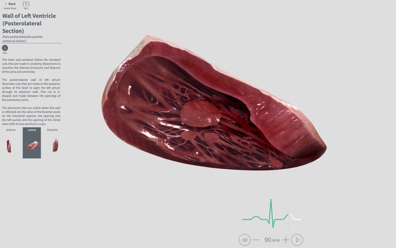 3_Complete_Heart.jpg