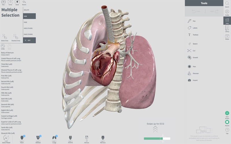4_Complete_Heart.jpg