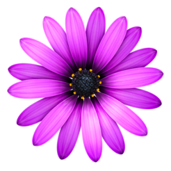 Textmate 2 code markup editor with many features app icon