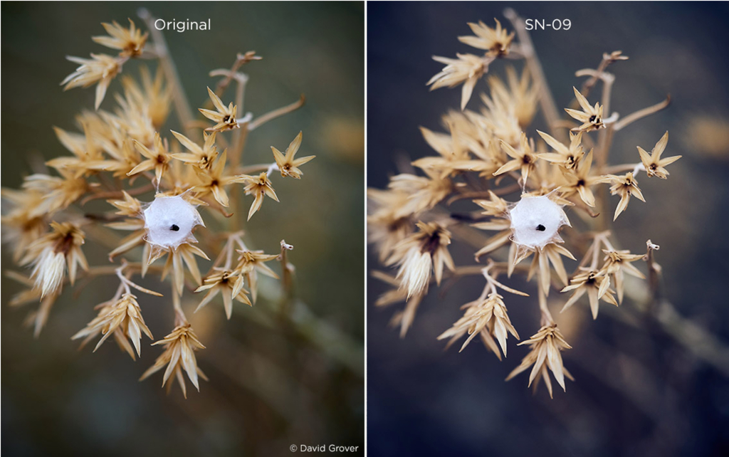 PhaseOne Capture One Styles ESSENTIALS Style Pack Win Mac Screenshot 01 14ibbg1y