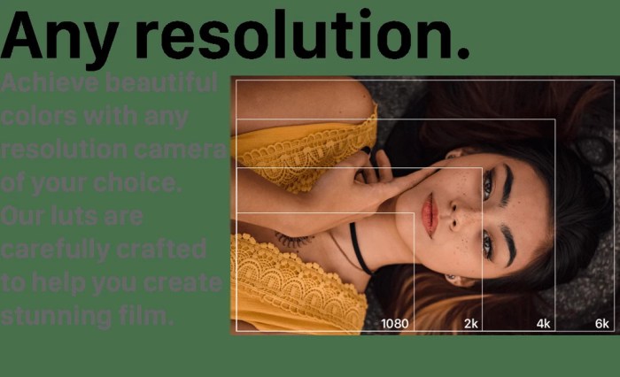 540plus Cinematic LUTS Pack Win Mac Screenshot 01 mh3af3y