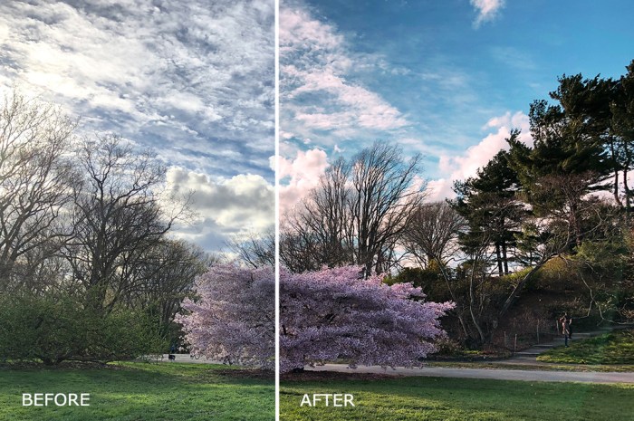 Colorful LUTs Pack for Vlogging Win Mac Screenshot 01 6nzr6vn