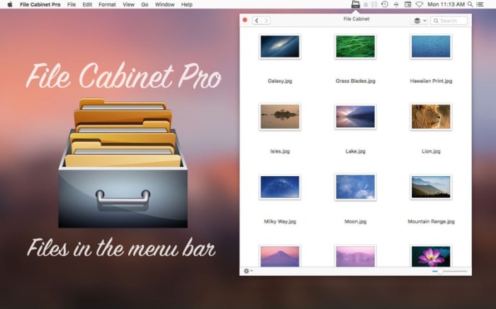 File Cabinet Pro Screenshot 01 n33jzwy