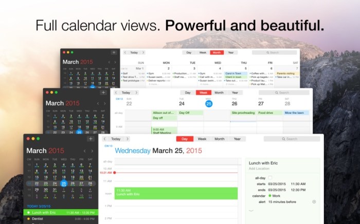 Fantastical 2 Screenshot 3 l40andy