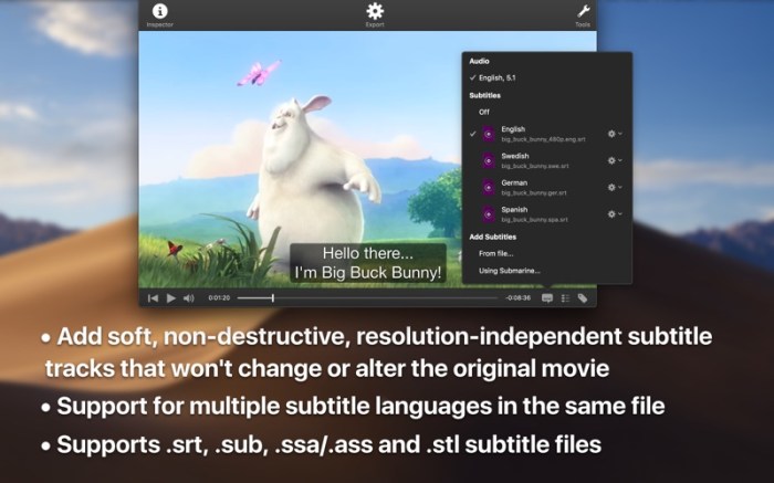 iSubtitle 3 Screenshot 02 qpoof1n