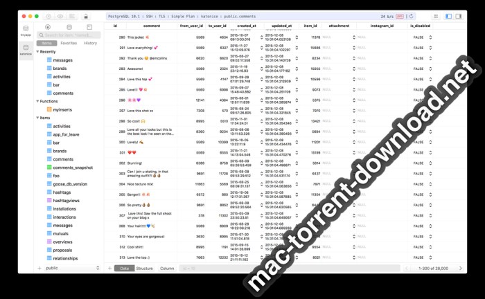 TablePlus 210268 Screenshot 01 msh8ity