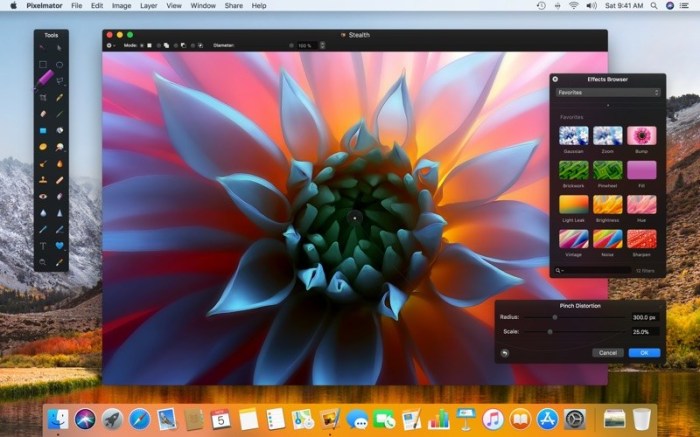 Pixelmator Screenshot 04 pk5e7jy
