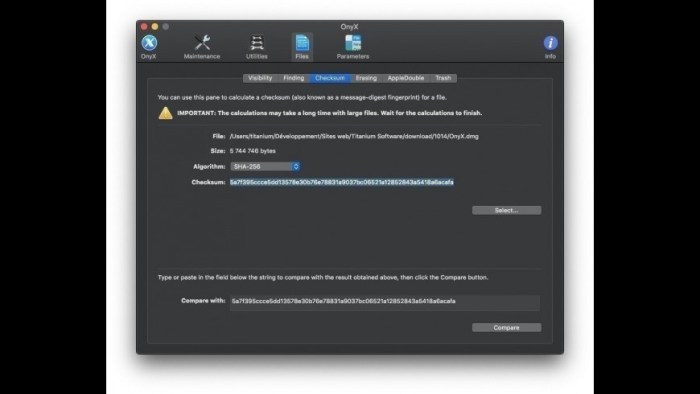 OnyX 367 Screenshot 06