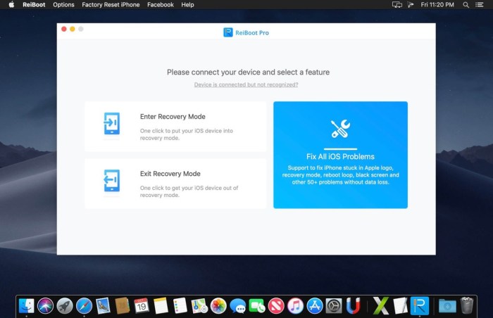 Tenorshare ReiBoot Pro 7344 Screenshot 01 o3d31oy