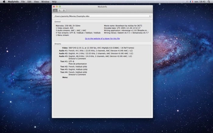 MediaInfo Screenshot 01 1kliagzy