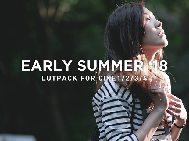 Résultat de recherche d'images pour "SUMMER 18 LUTs (Win/Mac)"