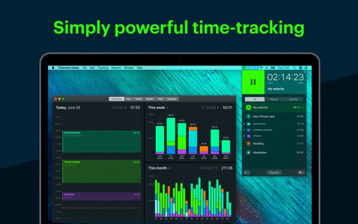 Timemator 11 Screenshot 01